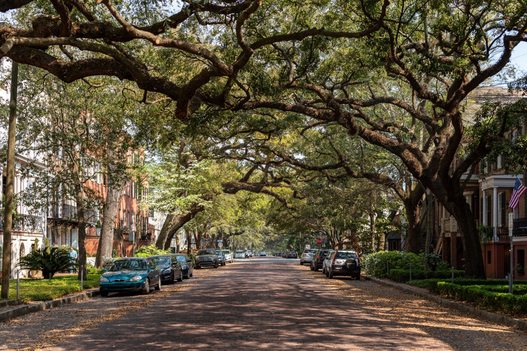 Shady residential street with mature oak trees
